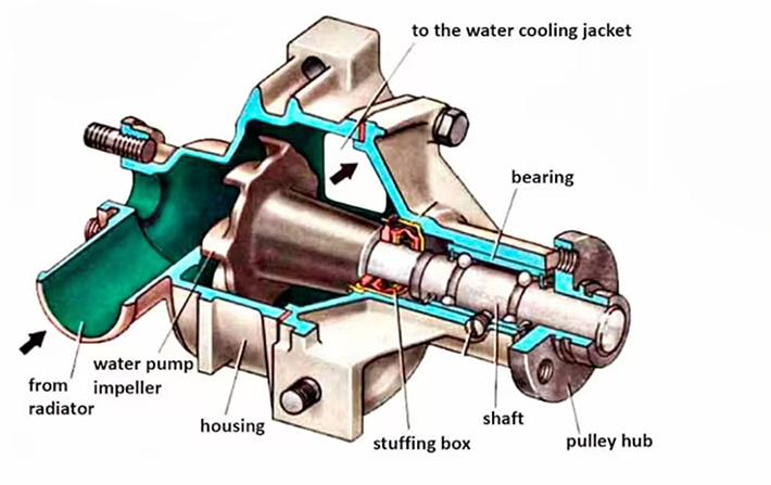 What is the role of the water pump in the car cooling system?